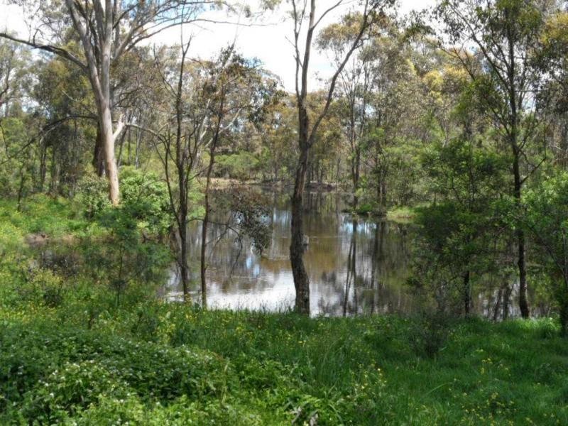 287 Belmont Drive, Dalveen, Stanthorpe QLD 4380