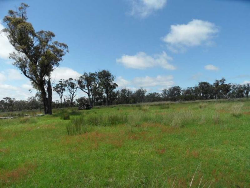 Stanthorpe QLD 4380