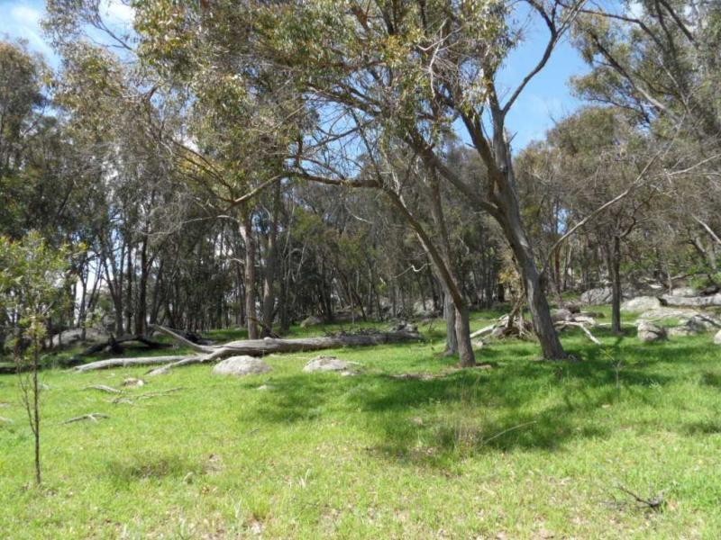 Stanthorpe QLD 4380