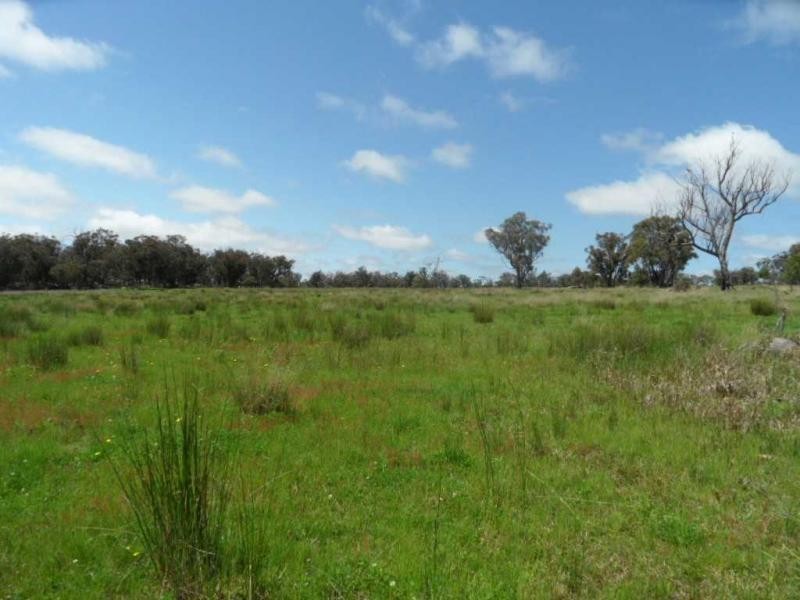 Stanthorpe QLD 4380