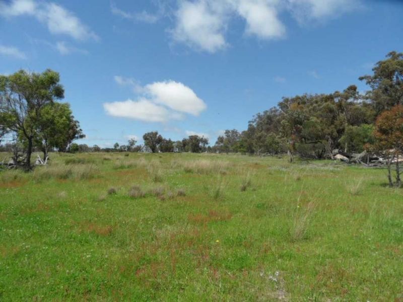 Stanthorpe QLD 4380