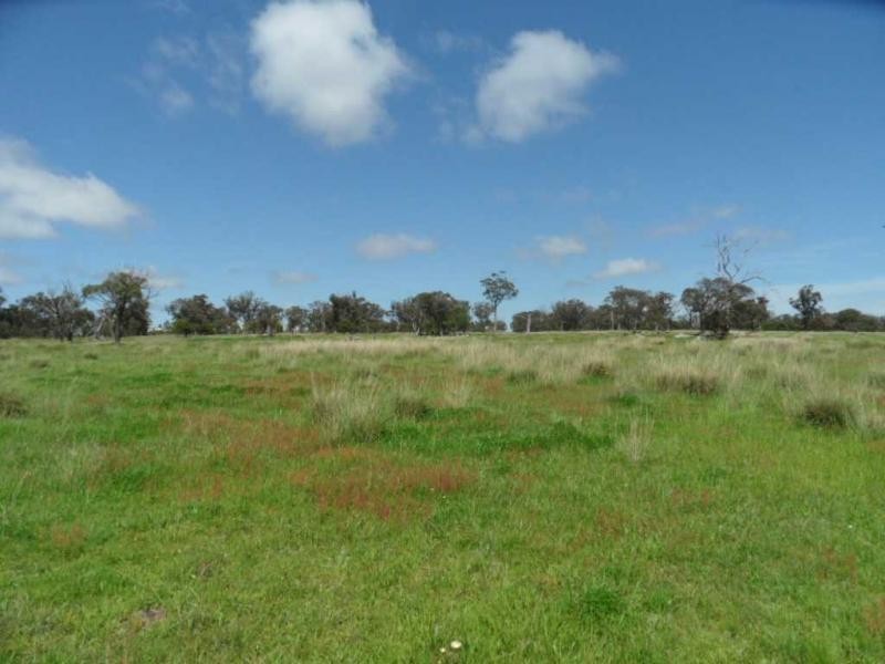Stanthorpe QLD 4380