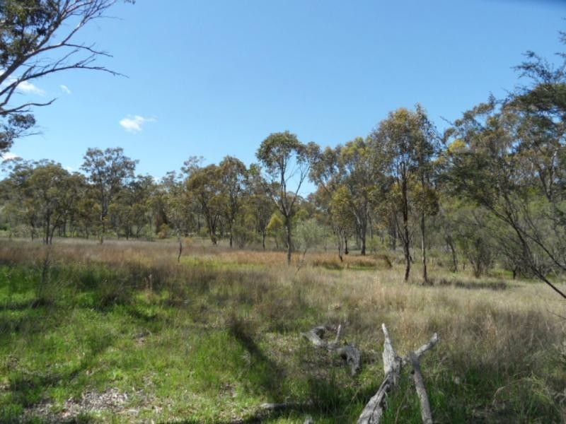 Lot 285 Diamondvale Road, Stanhorpe, Stanthorpe QLD 4380