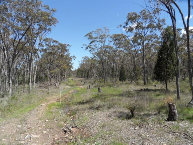 Lot 285 Diamondvale Road, Stanhorpe, Stanthorpe QLD 4380