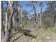 Lot 285 Diamondvale Road, Stanhorpe, Stanthorpe QLD 4380