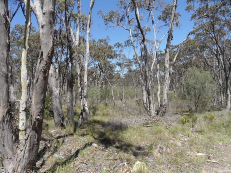 Lot 285 Diamondvale Road, Stanhorpe, Stanthorpe QLD 4380