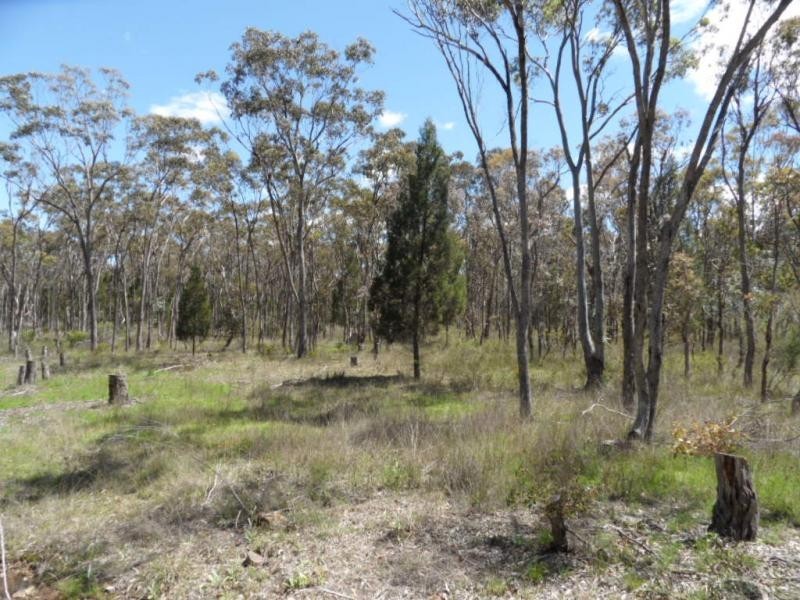 Lot 285 Diamondvale Road, Stanhorpe, Stanthorpe QLD 4380