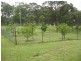 225 Tunnel Road, Dalveen, Stanthorpe QLD 4380