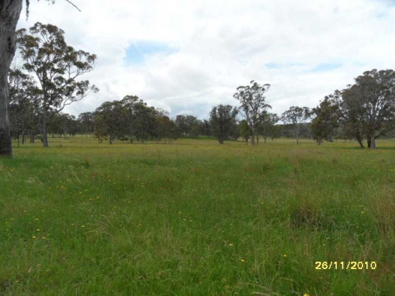 1252 Wylie Creek Road, The Summit, Stanthorpe QLD 4380