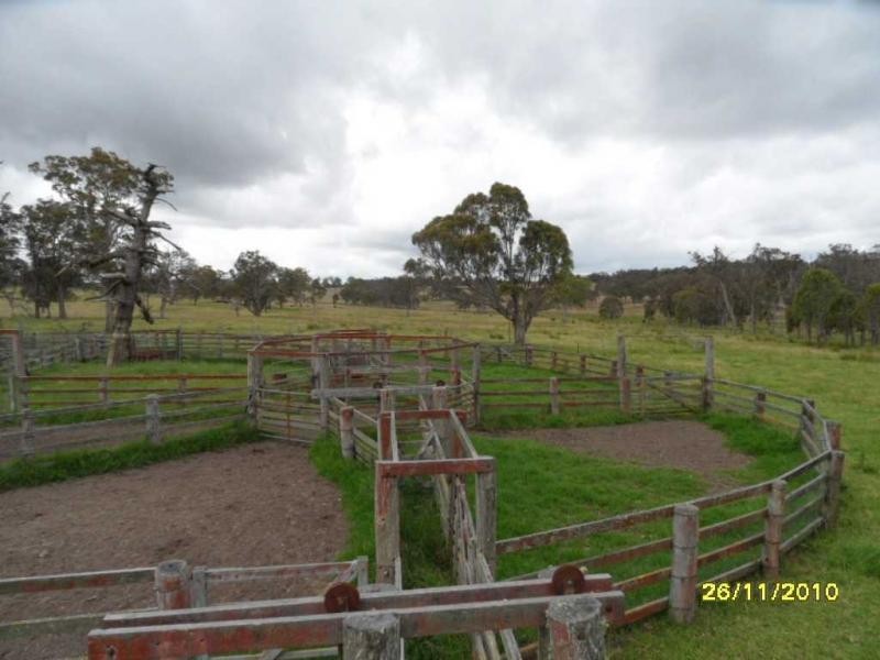 1252 Wylie Creek Road, The Summit, Stanthorpe QLD 4380