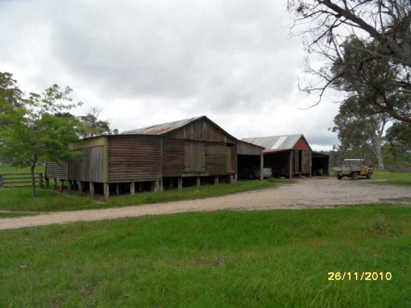 1252 Wylie Creek Road, The Summit, Stanthorpe QLD 4380