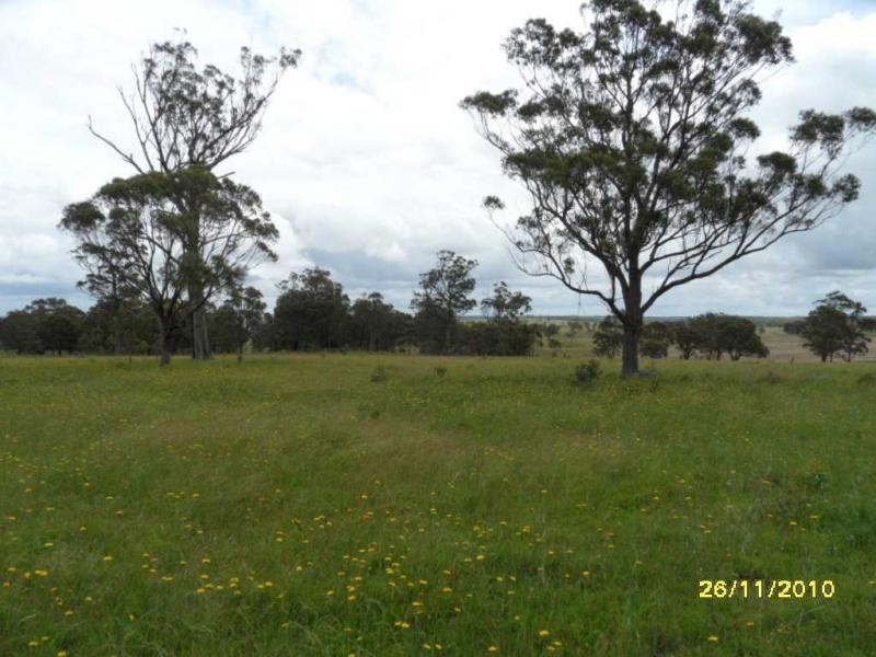 1252 Wylie Creek Road, The Summit, Stanthorpe QLD 4380