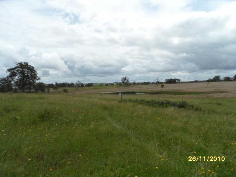 1252 Wylie Creek Road, The Summit, Stanthorpe QLD 4380