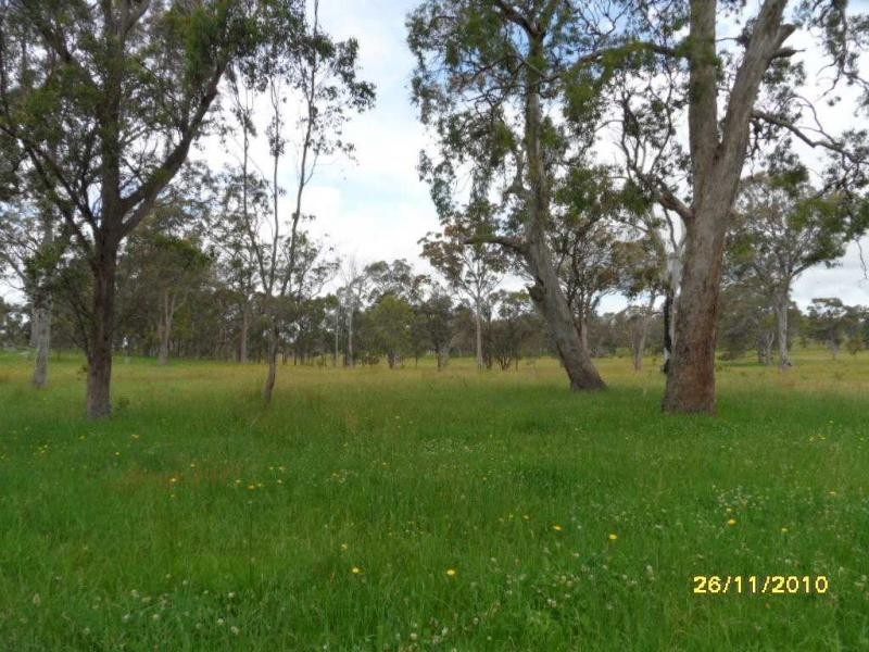 1252 Wylie Creek Road, The Summit, Stanthorpe QLD 4380