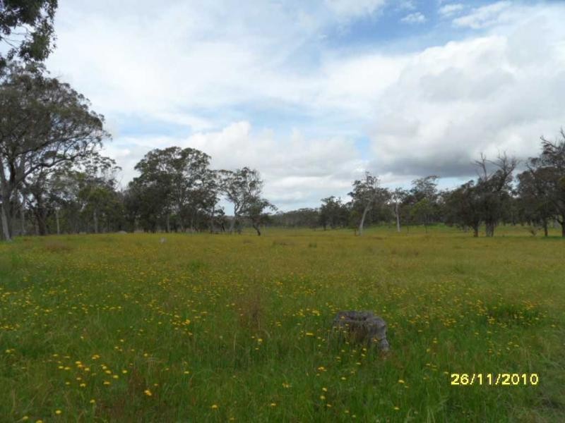 1252 Wylie Creek Road, The Summit, Stanthorpe QLD 4380