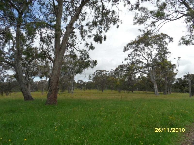 1252 Wylie Creek Road, The Summit, Stanthorpe QLD 4380