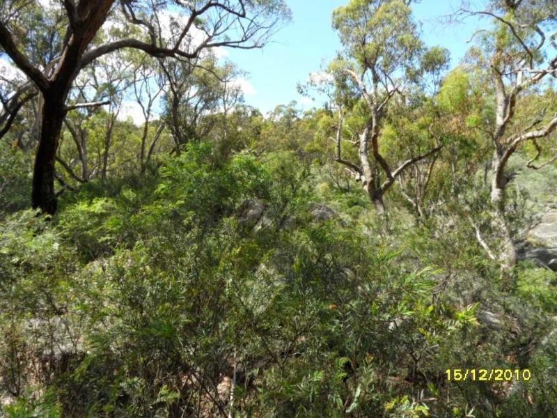 55 Chapman Lane, Stanthorpe, Stanthorpe QLD 4380