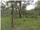 55a Chapman Lane, Stanthorpe, Stanthorpe QLD 4380