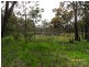 55a Chapman Lane, Stanthorpe, Stanthorpe QLD 4380
