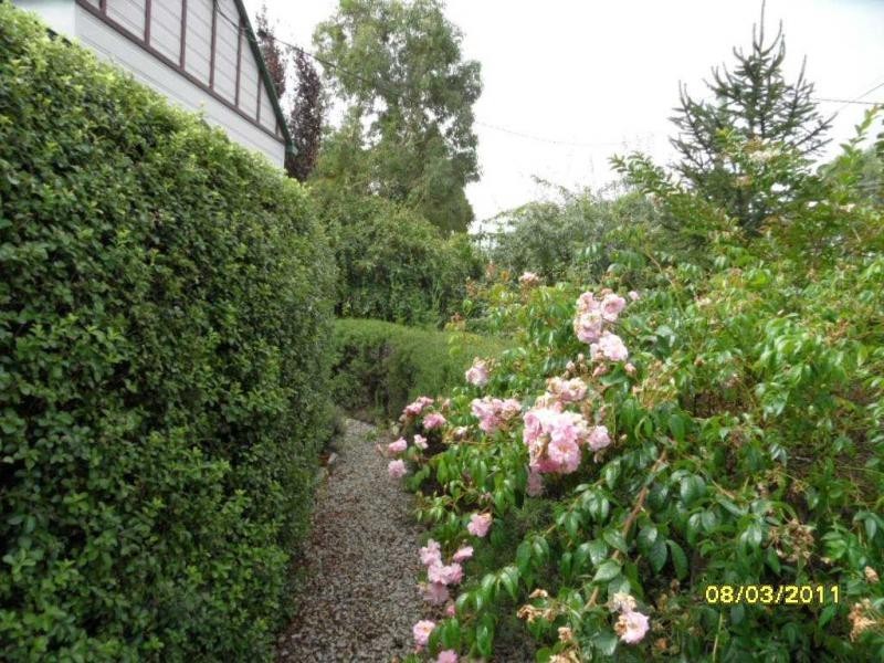 66 Wallangarra Road, Stanthorpe QLD 4380