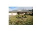 34 Torrisi Terrace, Stanthorpe QLD 4380