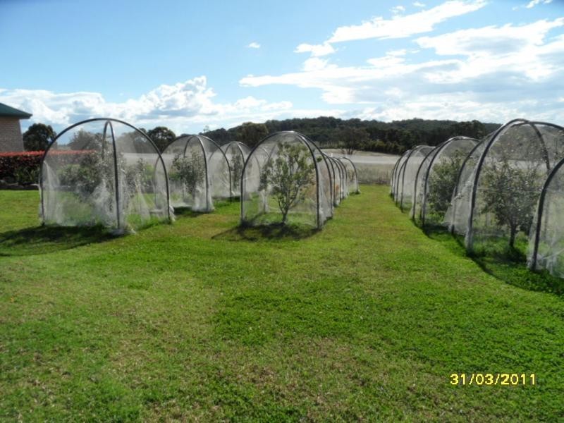 Stanthorpe QLD 4380