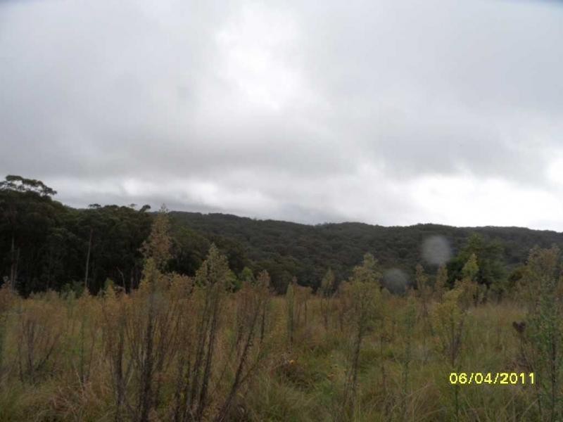 Stanthorpe QLD 4380