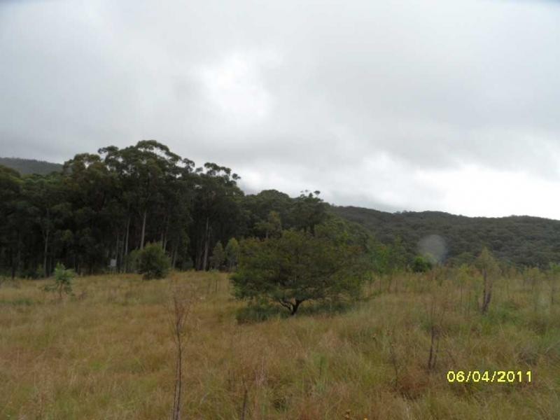 Stanthorpe QLD 4380
