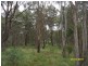 Stanthorpe QLD 4380