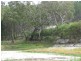 110 Donnellys Castle Road, Thulimbah, Stanthorpe QLD 4380