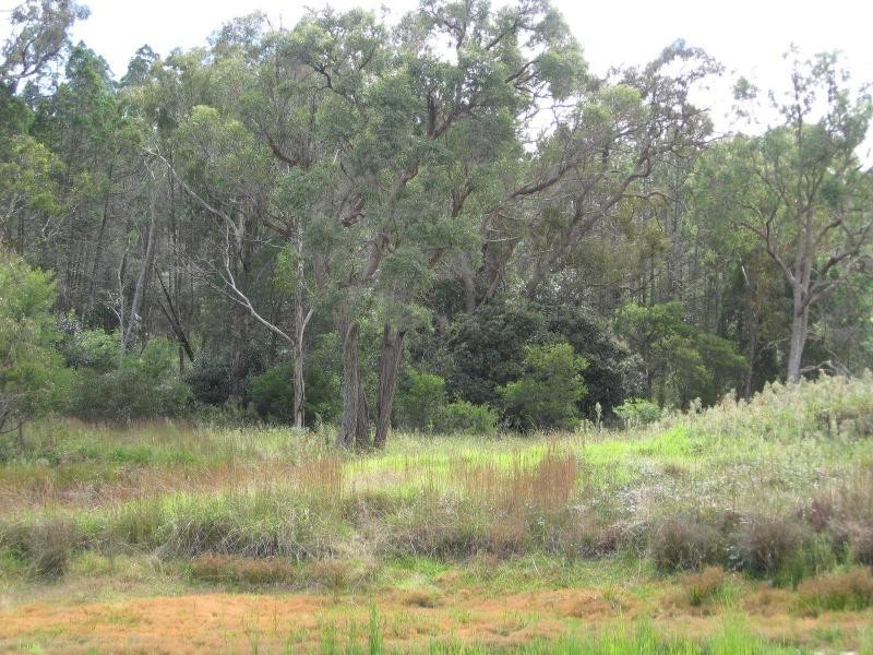 110 Donnellys Castle Road, Thulimbah, Stanthorpe QLD 4380