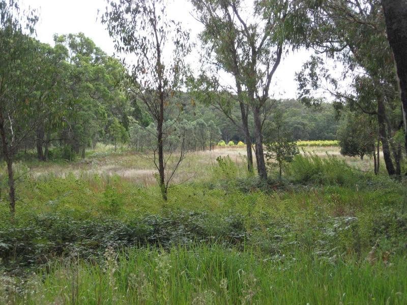 110 Donnellys Castle Road, Thulimbah, Stanthorpe QLD 4380