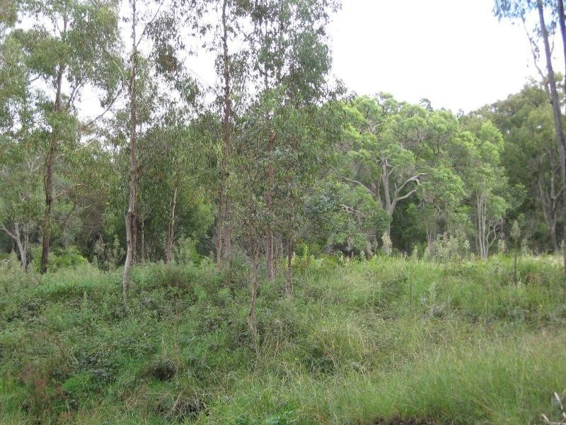 110 Donnellys Castle Road, Thulimbah, Stanthorpe QLD 4380