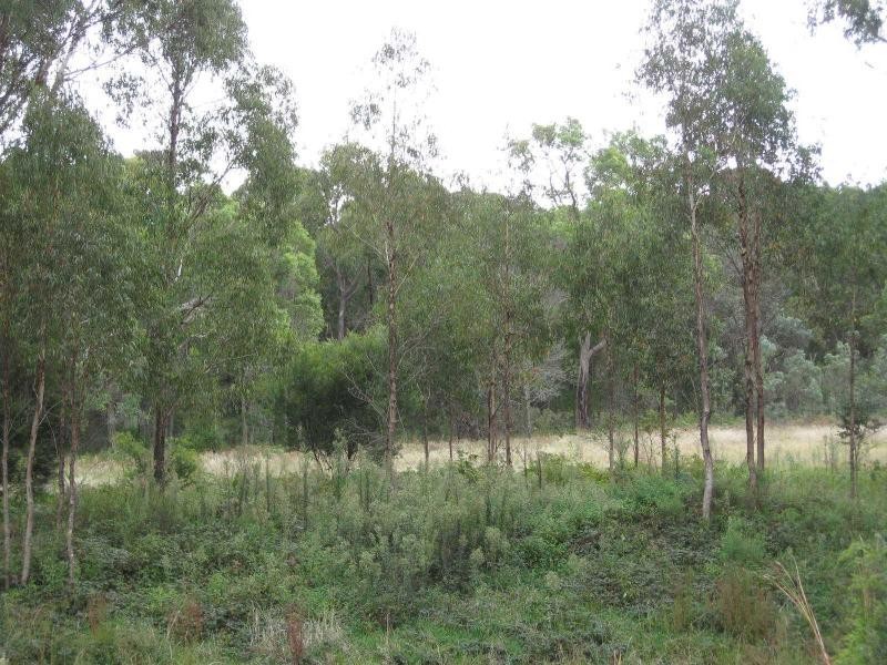 110 Donnellys Castle Road, Thulimbah, Stanthorpe QLD 4380