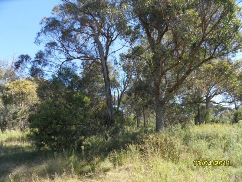 127 Summit Road, Stanthorpe, The Summit QLD 4377