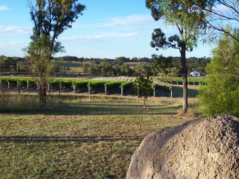 90 Savina Road, Severnlea, Stanthorpe QLD 4380
