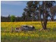 90 Savina Road, Severnlea, Stanthorpe QLD 4380