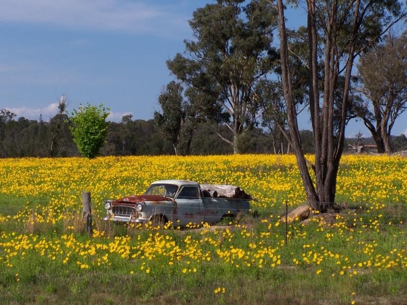 90 Savina Road, Severnlea, Stanthorpe QLD 4380