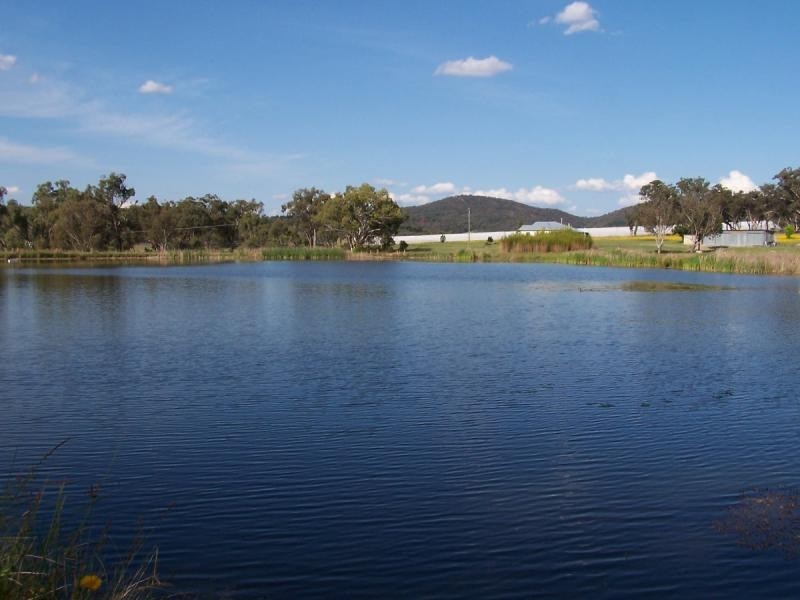 90 Savina Road, Severnlea, Stanthorpe QLD 4380