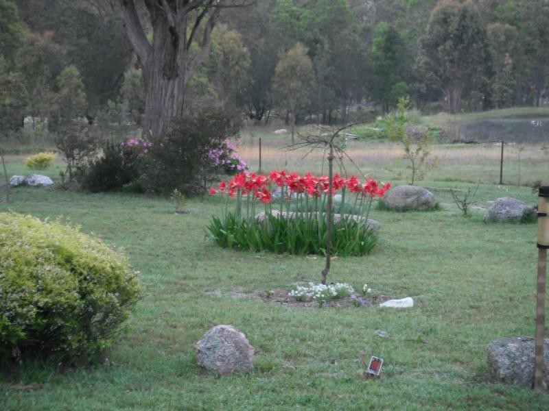 62 Crighton Road, Dalveen, Stanthorpe QLD 4380