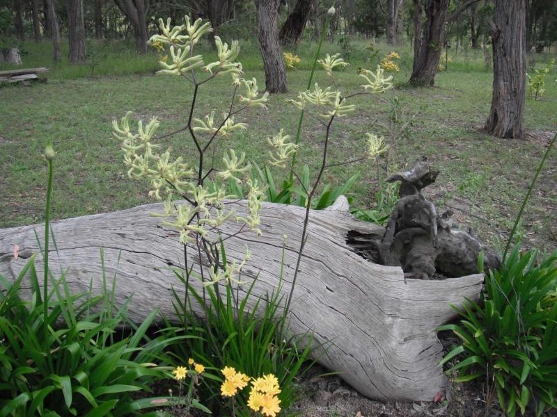 62 Crighton Road, Dalveen, Stanthorpe QLD 4380