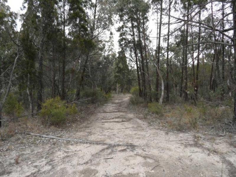 191 Whiskey Gully Road, Severnlea, Stanthorpe QLD 4380