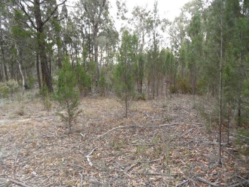 191 Whiskey Gully Road, Severnlea, Stanthorpe QLD 4380