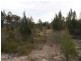 191 Whiskey Gully Road, Severnlea, Stanthorpe QLD 4380