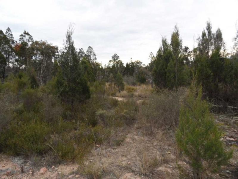 191 Whiskey Gully Road, Severnlea, Stanthorpe QLD 4380