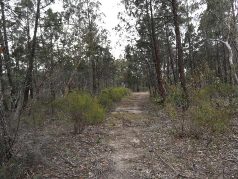 191 Whiskey Gully Road, Severnlea, Stanthorpe QLD 4380