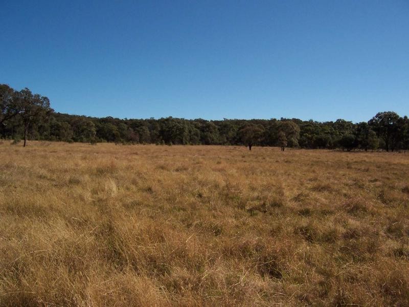 836 Eukey Road, Storm King, Stanthorpe QLD 4380