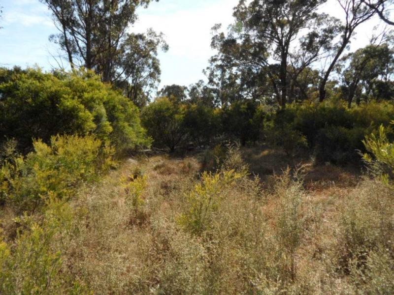 Proposed Lot 1 10 Tyrel Street, Stanthorpe QLD 4380
