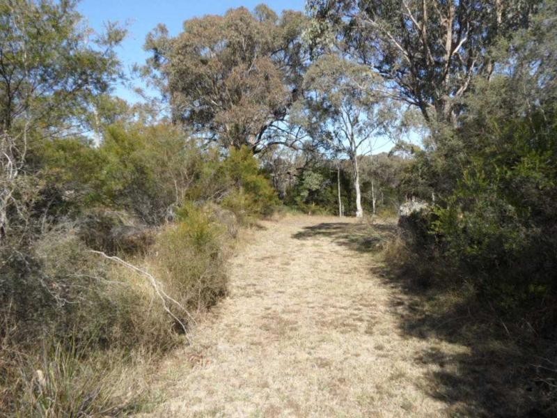 Proposed Lot 3 10 Tyrel Street, Stanthorpe QLD 4380