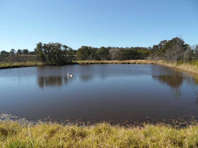 2667 Amiens Road, Pozieres, Stanthorpe QLD 4380